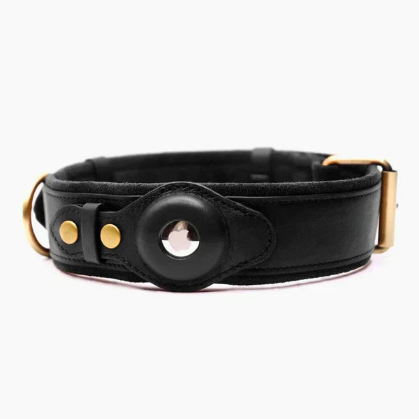 AirTag Hunde-Halsband | Lederhalsband mit AirTag-Option, um Ihren Hund nie wieder zu verlieren